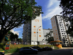 Blk 171 Stirling View (Queenstown), HDB 3 Rooms #579278751